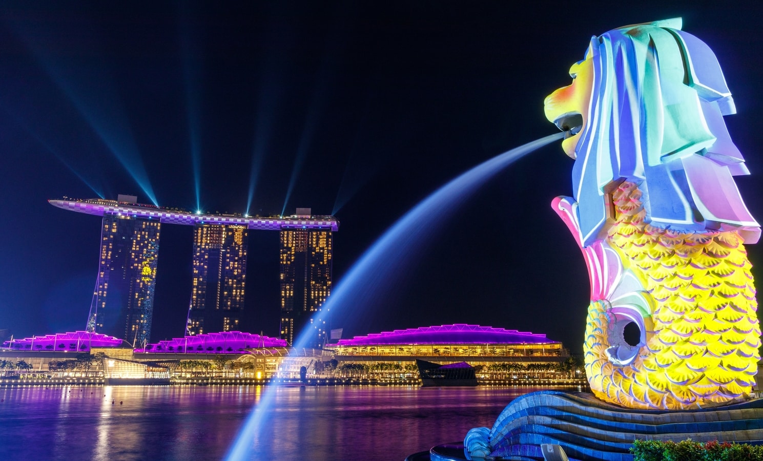 Digital marketing agency Singapore - CodeDesign