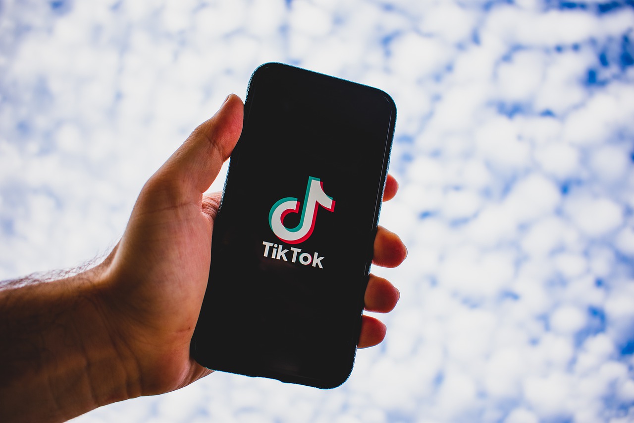 The Ultimate Guide To TikTok For Brands and Artists