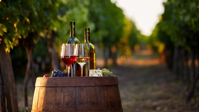 winery business marketing